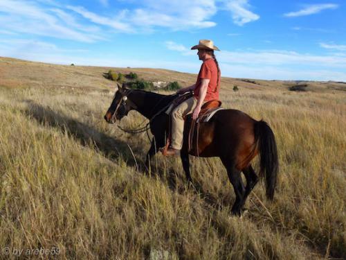 IMP_20141015_165323_396