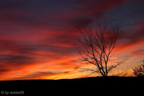 IMP_20141016_134951_146