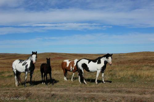 IMP_20141016_185948_163