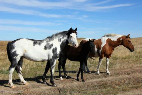 IMP_20141016_190151_169