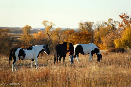 IMP_20141018_001125_227