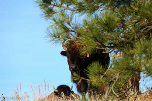 IMP_20141018_232844_271