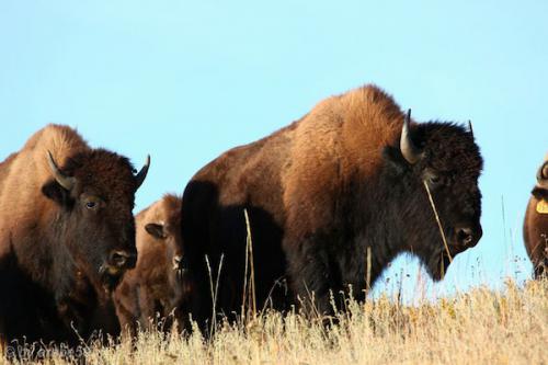 IMP_20141018_233050_276