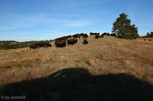 IMP_20141018_233521_281