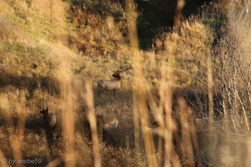 IMP_20141018_234737_291