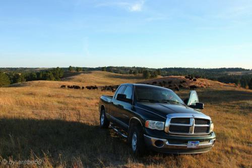 IMP_20141019_000751_300