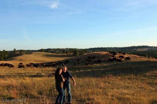 IMP_20141019_001029_304