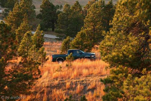 IMP_20141019_004417_325