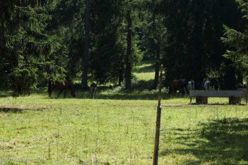 PoesslJura_201407_01