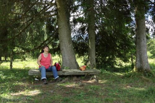 PoesslJura_201407_17