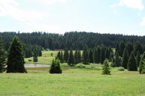 PoesslJura_201407_19