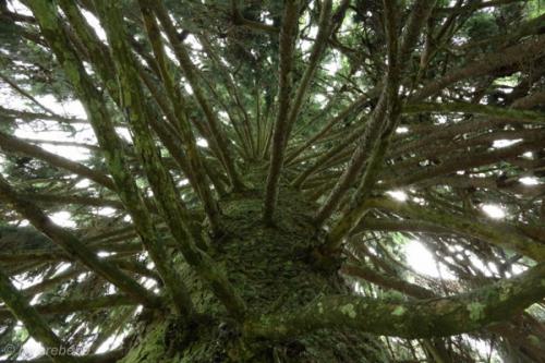 PoesslJura_201407_25