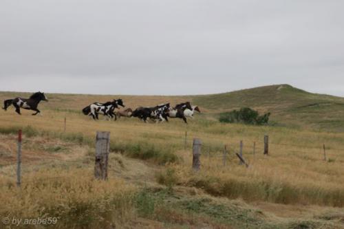 SD13_0714_182544_0019