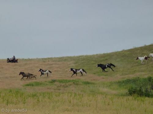 SD13_0714_182612_0004