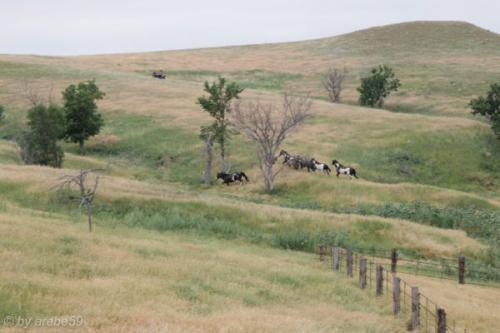 SD13_0714_183108_0022