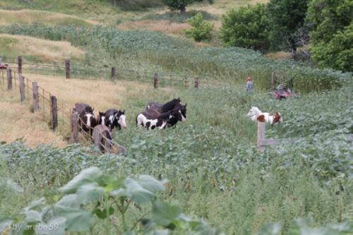 SD13_0714_183559_0023