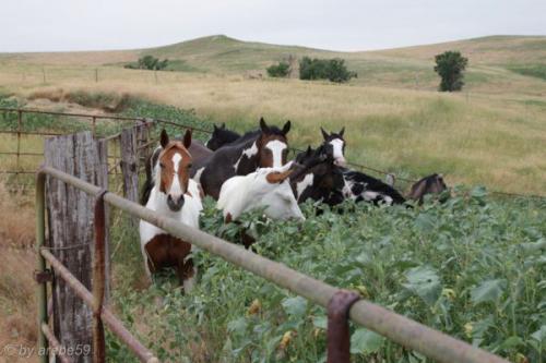 SD13_0714_183729_0027