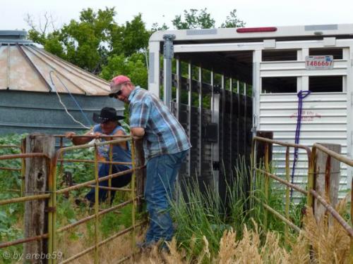 SD13_0714_183834_0006