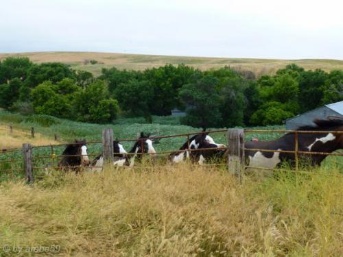 SD13_0714_183951_0008