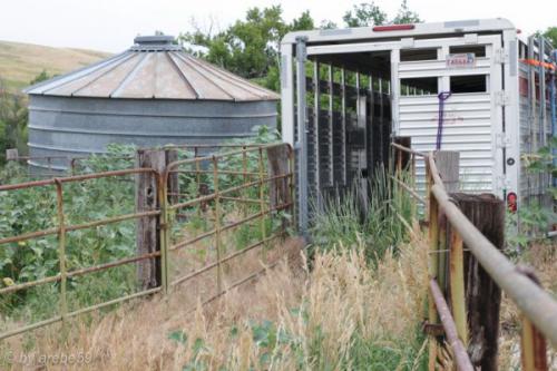 SD13_0714_184621_0028