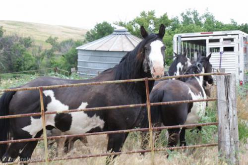 SD13_0714_184706_0032