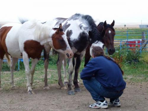 SD13_0715_035200_0016