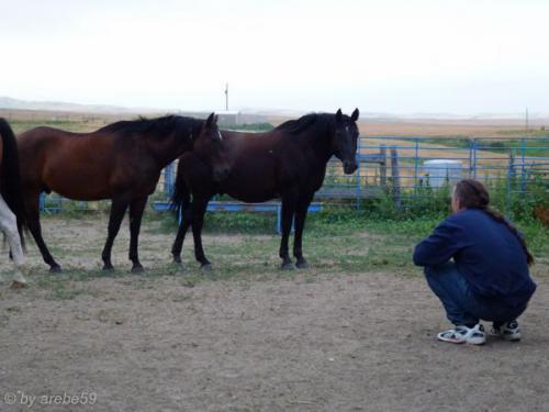 SD13_0715_035222_0017