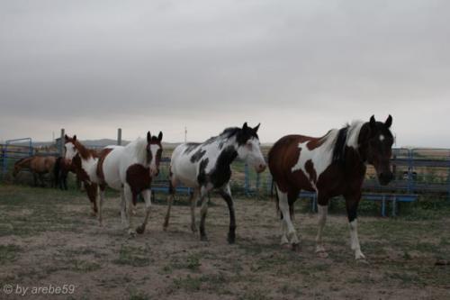 SD13_0715_035838_0048