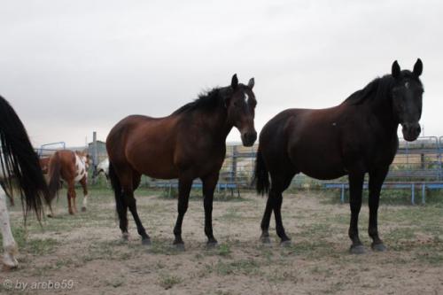 SD13_0715_035928_0049