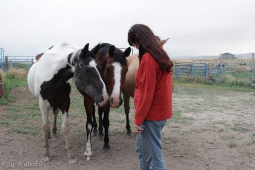 SD13_0715_040313_0053