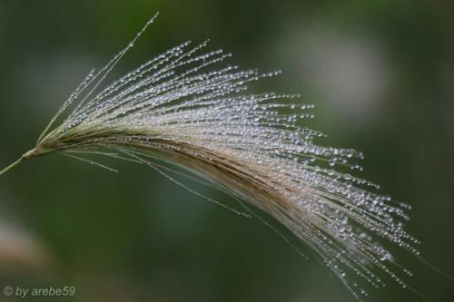 SD13_0715_154254_0061