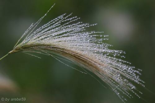 SD13_0715_154255_0062