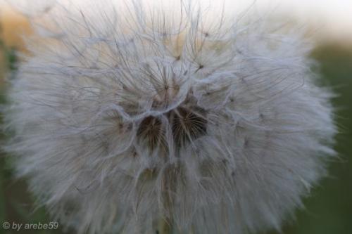 SD13_0716_044944_0067