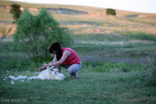 SD13_0716_050005_0075