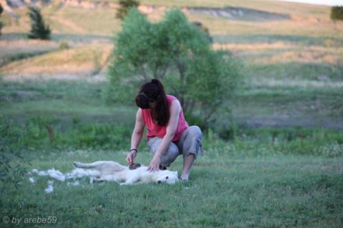 SD13_0716_050028_0077