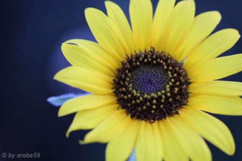 SD13_0716_050828_0087