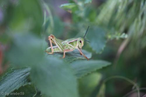 SD13_0716_051622_0097