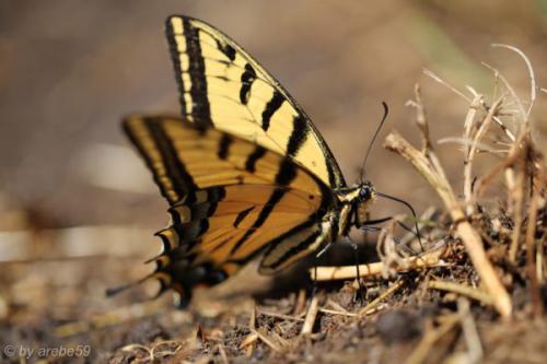 SD13_0716_193355_0119