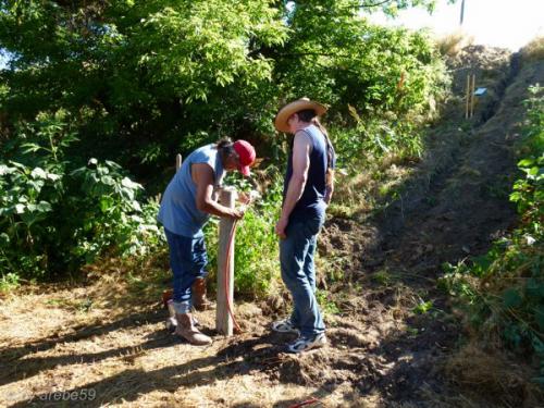 SD13_0717_012007_0018