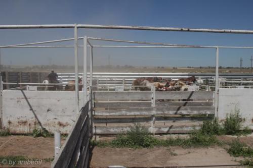 SD13_0717_205350_0127