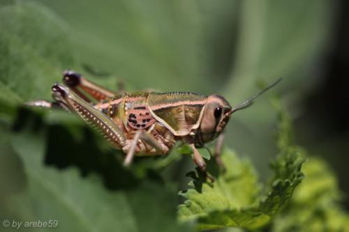 SD13_0718_164910_0145