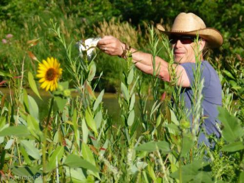 SD13_0720_020852_0030