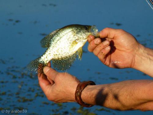 SD13_0720_031003_0031