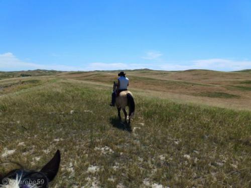 SD13_0720_211629_0040