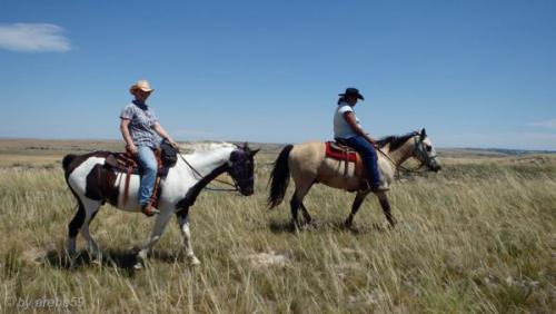 SD13_0720_211941_0313