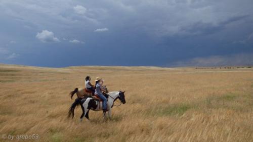 SD13_0720_224710_0316