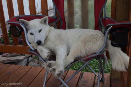 SD13_0721_010133_0155