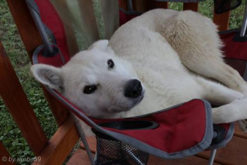 SD13_0721_010233_0157