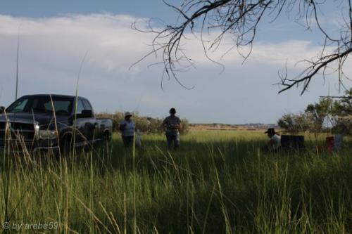 SD13_0721_021946_0163