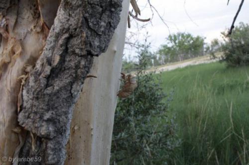 SD13_0721_025042_0167